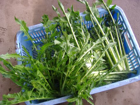 その他出荷