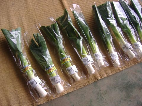 リーキ出荷