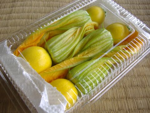 ズッキーニ