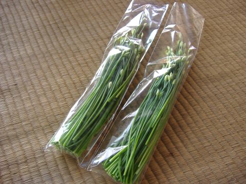 いろいろ出荷