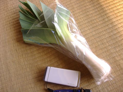 リーキ