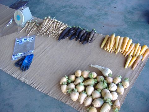 各種出荷準備