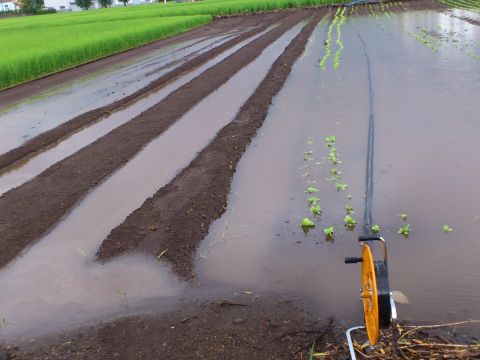豪雨