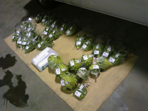 出荷