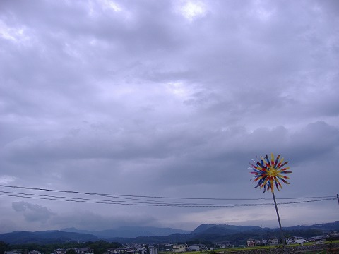 台風