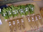 野菜出荷