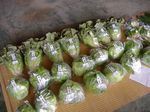 野菜出荷