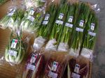 野菜出荷