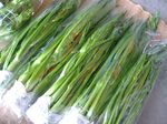 野菜出荷