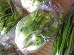 野菜出荷